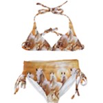 Seven Horses, Sun Kids  Classic Bikini Set