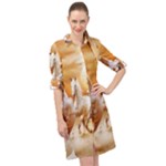 Seven Horses, Sun Long Sleeve Mini Shirt Dress