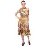 Seven Horses, Sun Keyhole Neckline Chiffon Dress