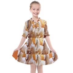 Kids  All Frills Chiffon Dress 