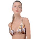 Seven Horses, Sun Knot Up Bikini Top