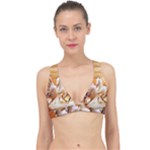 Seven Horses, Sun Classic Banded Bikini Top