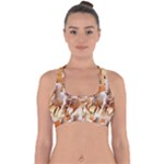 Seven Horses, Sun Cross Back Hipster Bikini Top 