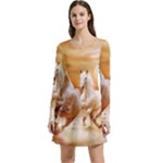 Seven Horses, Sun Long Sleeve Velour Skater Dress