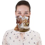 Seven Horses, Sun Face Covering Bandana (Adult)