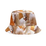 Seven Horses, Sun Bucket Hat