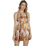 Seven Horses, Sun Sleeveless High Waist Mini Dress