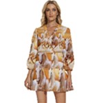 Seven Horses, Sun V-Neck Placket Mini Dress