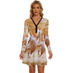 Seven Horses, Sun Long Sleeve Deep V Mini Dress 