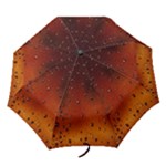 Water Drops, Lui, Amazing Folding Umbrellas