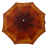 Water Drops, Lui, Amazing Straight Umbrellas