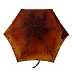 Water Drops, Lui, Amazing Mini Folding Umbrellas