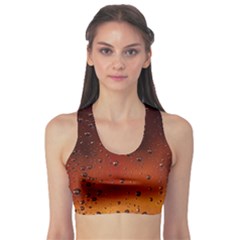 Fitness Sports Bra 