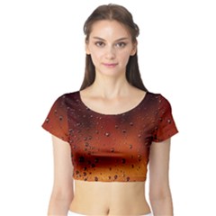 Short Sleeve Crop Top 