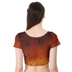 Short Sleeve Crop Top 