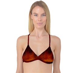 Reversible Tri Bikini Top 