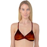 Water Drops, Lui, Amazing Reversible Tri Bikini Top