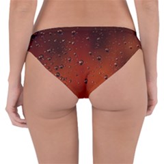 Reversible Hipster Bikini Bottoms 