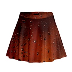 Mini Flare Skirt 