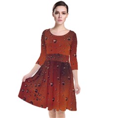 Quarter Sleeve Waist Band Dress 