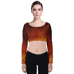 Velvet Long Sleeve Crop Top 