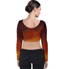 Velvet Long Sleeve Crop Top 