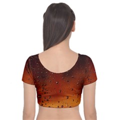 Velvet Short Sleeve Crop Top  