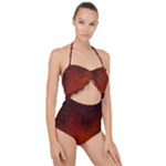 Water Drops, Lui, Amazing Scallop Top Cut Out Swimsuit