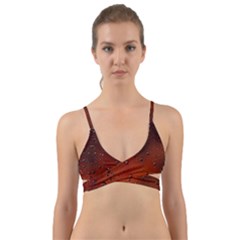 Wrap Around Bikini Top 