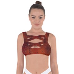 Bandaged Up Bikini Top 