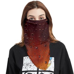 Face Covering Bandana (Triangle) 