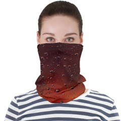 Face Seamless Bandana (Adult) 