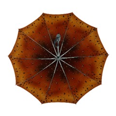 Water Drops, Lui, Amazing Automatic Folding Umbrella with Case (Large) from ArtsNow.com