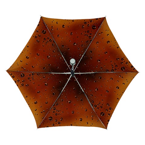 Water Drops, Lui, Amazing Automatic Folding Umbrella with Case (Small) from ArtsNow.com