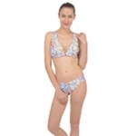 Usheen Carebears, Bears, Cat, Colorful, Cute, Pastel, Pattern Classic Banded Bikini Set 