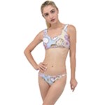 Usheen Carebears, Bears, Cat, Colorful, Cute, Pastel, Pattern The Little Details Bikini Set