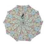 Usheen Carebears, Bears, Cat, Colorful, Cute, Pastel, Pattern Automatic Folding Umbrella with Case (Large)