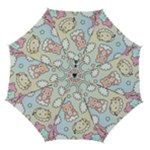 Usheen Carebears, Bears, Cat, Colorful, Cute, Pastel, Pattern Automatic Folding Umbrella with Case (Medium)