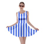 Blue Stripes, Sticker, Stickers Skater Dress