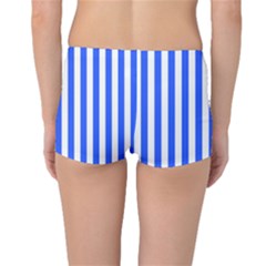 Boyleg Bikini Bottoms Back