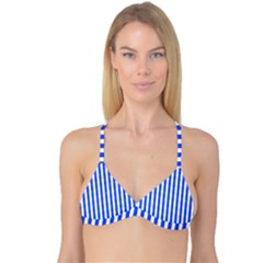 Reversible Tri Bikini Top 