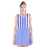 Blue Stripes, Sticker, Stickers Scoop Neck Skater Dress