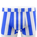 Blue Stripes, Sticker, Stickers Men s Boxer Briefs