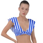 Blue Stripes, Sticker, Stickers Plunge Frill Sleeve Bikini Top