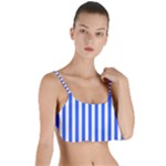 Blue Stripes, Sticker, Stickers Layered Top Bikini Top 