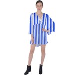 Blue Stripes, Sticker, Stickers V-Neck Flare Sleeve Mini Dress