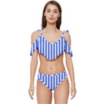 Blue Stripes, Sticker, Stickers Ruffle Edge Tie Up Bikini Set	