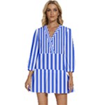 Blue Stripes, Sticker, Stickers V-Neck Placket Mini Dress