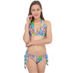 Care Bears, Adorable, Art Tie It Up Bikini Set