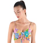 Care Bears, Adorable, Art Woven Tie Front Bralet